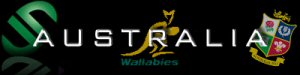 Wallabies Lions Squad 2013